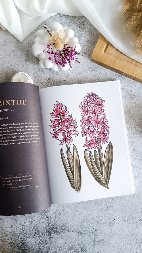 Blumen mit Botschaft – Meine Rezension zu "Vintage Flowers – Die Sprache der Blumen"